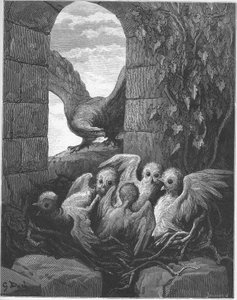Der Adler und die Eule - aus 