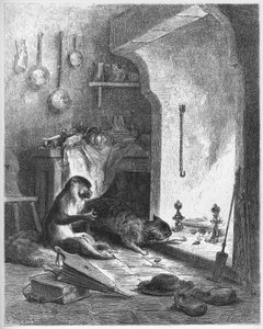 Der Affe und die Katze - aus 