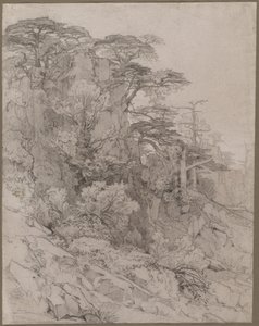 Bäume auf einem felsigen Hügel, späte 1800er Jahre
