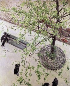 Boulevard von oben gesehen, 1880 von Gustave Caillebotte