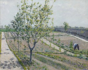 Küchengarten, Petit Gennevilliers von Gustave Caillebotte