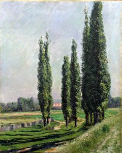Pappeln am Flussufer bei Argenteuil von Gustave Caillebotte