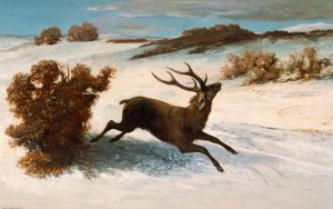 Hirsche im Schnee