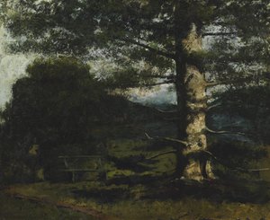 Zeder in Hauteville