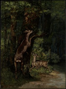 Hirsche im Wald von Gustave Courbet