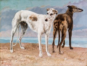 Die Windhunde des Comte de Choiseul