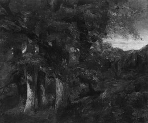 Waldlandschaft