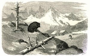 Gravur von Gustave Doré, die das Buch „Reise in die Pyrenäen“ von Hippolyte Taine, Hachette 1860, illustriert. Ein Bär beobachtet einen Mann, der auf sein Haus in den Bergen zugeht. von Gustave Dore