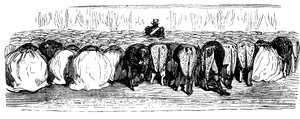 Geschichte des Heiligen Russland. Ein großer Ball im Winterpalast, 1854 von Gustave Dore