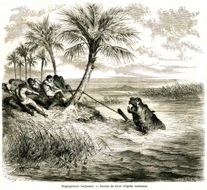 Jagd am Fluss Teoghe, einem Nebenfluss des Ngami. Flusspferd-Harpune. Gravur von Gustave Doré, die die Abenteuer und Jagden des Reisenden Charles-Jean Anderson im südlichen Afrika illustriert, veröffentlicht im Journal Le Tour du Monde von Gustave Dore
