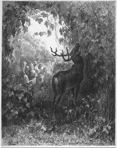 Der Hirsch und die Rebe - aus "Fabeln" von Jean de La Fontaine