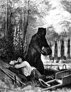 Der Bär und der Gärtner: Fabel von Jean de la Fontaine, illustriert von Gustave Doré
