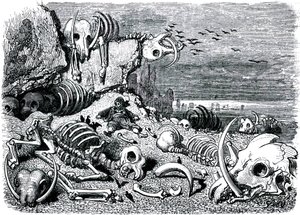 Sindbad der Seefahrer - Märchen aus Tausendundeiner Nacht - Illustration von Gustave Doré - Ausgabe Maxwell 1865 - Siebte und letzte Reise: der Elefantenfriedhof, wo Sindbad die Elfenbeinstoßzähne bergen wird von Gustave Dore