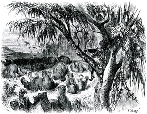 Sindbad der Seefahrer - Märchen aus Tausendundeiner Nacht - Illustration von Gustave Doré - Maxwell-Ausgabe 1865 - Siebte Reise: Sindbad schießt von einem Baum aus mit seinem Bogen auf Elefanten