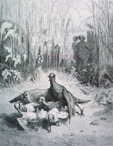 Die Fabel von der Lerche, ihren Jungen und dem Feldherrn, Illustration für die Fabeln von La Fontaine