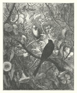 Die Fabeln von La Fontaine: Philomel und Progne von Gustave Dore