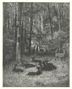 Die Fabeln von La Fontaine: Der kranke Hirsch (Gravur) von Gustave Dore