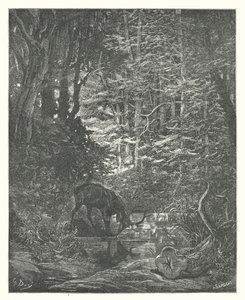 Die Fabeln von La Fontaine: Der Hirsch betrachtet sich im Bach von Gustave Dore