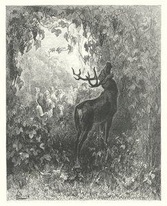 Die Fabeln von La Fontaine: Der Hirsch und die Rebe von Gustave Dore