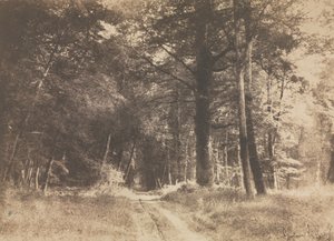 Weg im Wald von Fontainebleau von Gustave Le Gray