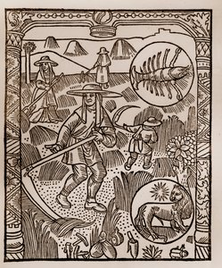 Hirtenkalender - Die Arbeiten der Monate - Juli - Holzschnitt aus dem Buch von 1496, gedruckt von Guy Marchant (Guido Mercator) in Troyes - Heu, das Mähen des Heus - Holzstich in „Le grand Calendrier et compost des bergers“