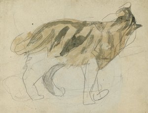 Katzenstudien