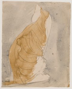 Studie einer Katze von Gwen John
