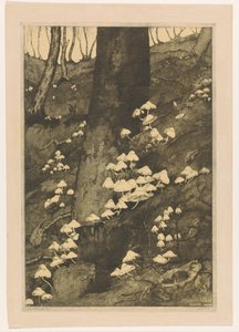 Pilze im Wald von H.C. Spruit (signed by artist)
