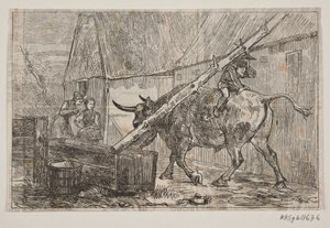 Nissen reitet auf dem Ochsen