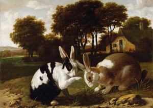 Zwei Kaninchen in einer Landschaft von Haarlem School
