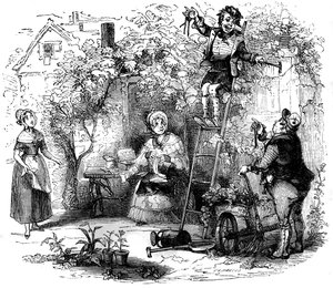 Der Raritätenladen von Hablot Knight Browne