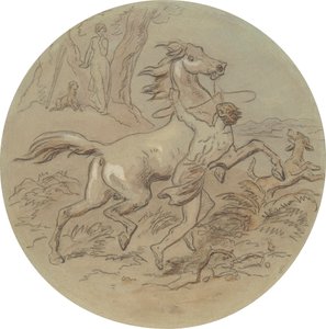 Eines von achtzehn Designs für eine Serie von Platten, die Venus und Adonis illustrieren von Hablot Knight Browne