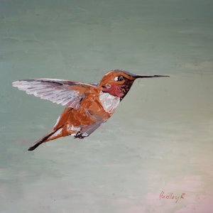 Roter Baron