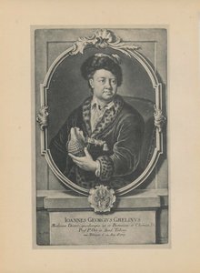 Porträt des Naturforschers, Botanikers und Geographen Johann Georg Gmelin 1709-1755, Mitte des 18. Jahrhunderts von Haid