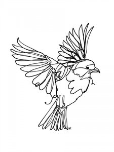 Fliegender Vogel Linienkunst