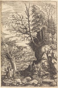 Landschaft mit einer Weide