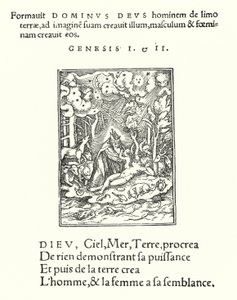Die Schöpfung (Gravur) von Hans (after) Holbein the Younger