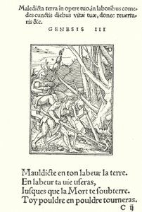 Der Fluch auf Erde und Mensch (Gravur) von Hans (after) Holbein the Younger
