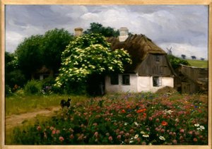 Blumenwiese am Hof
