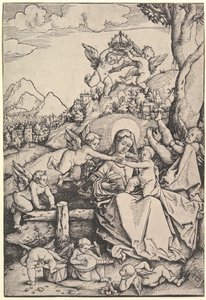 Die Jungfrau und das Kind mit acht Engeln in einer Landschaft, 1511 von Hans Baldung