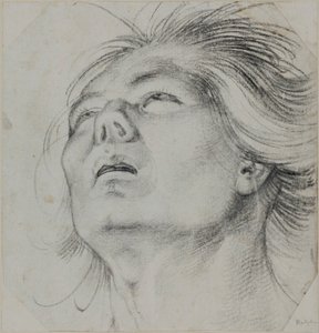 Kopf eines jungen Mannes, von unten gesehen von Hans Baldung Grien