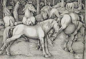 Hengst und abschlagende Stute inmitten einer Gruppe von Wildpferden im Wald von Hans Baldung Grien