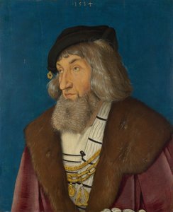 Porträt eines Mannes von Hans Baldung Grien