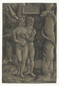 Versuchung von Adam und Eva im Paradies Sündenfall Lapsvs Hvmani Generis