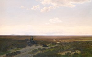 Ansicht der Pårup-Moore bei Silkeborg, Jütland von Hans Friis