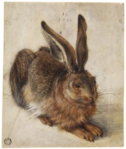 Ein Hase von Hans Hoffmann