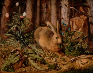 Ein Hase im Wald, ca. 1585 von Hans Hoffmann