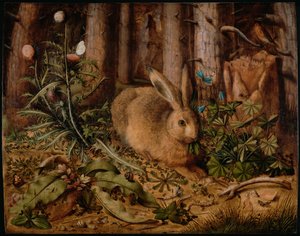 Ein Hase im Wald, ca. 1585 von Hans Hoffmann