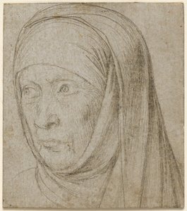 Kopf einer alten Frau, ca. 1500 von Hans Holbein