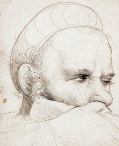 Der Kopf eines Armbrustschützen, der zielt von Hans Holbein the Elder